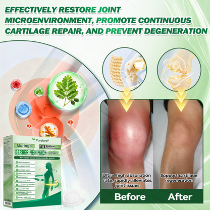 🔥 New Arrival · Hot Seller | Purelora® Moringa Berberine × NAD⁺ 10-in-1 Nano Microneedle Patch (Just once daily, visible changes in 7 days) ✅ Supports weight management, loose skin, diabetes care, sleep apnea, joint comfort, and more